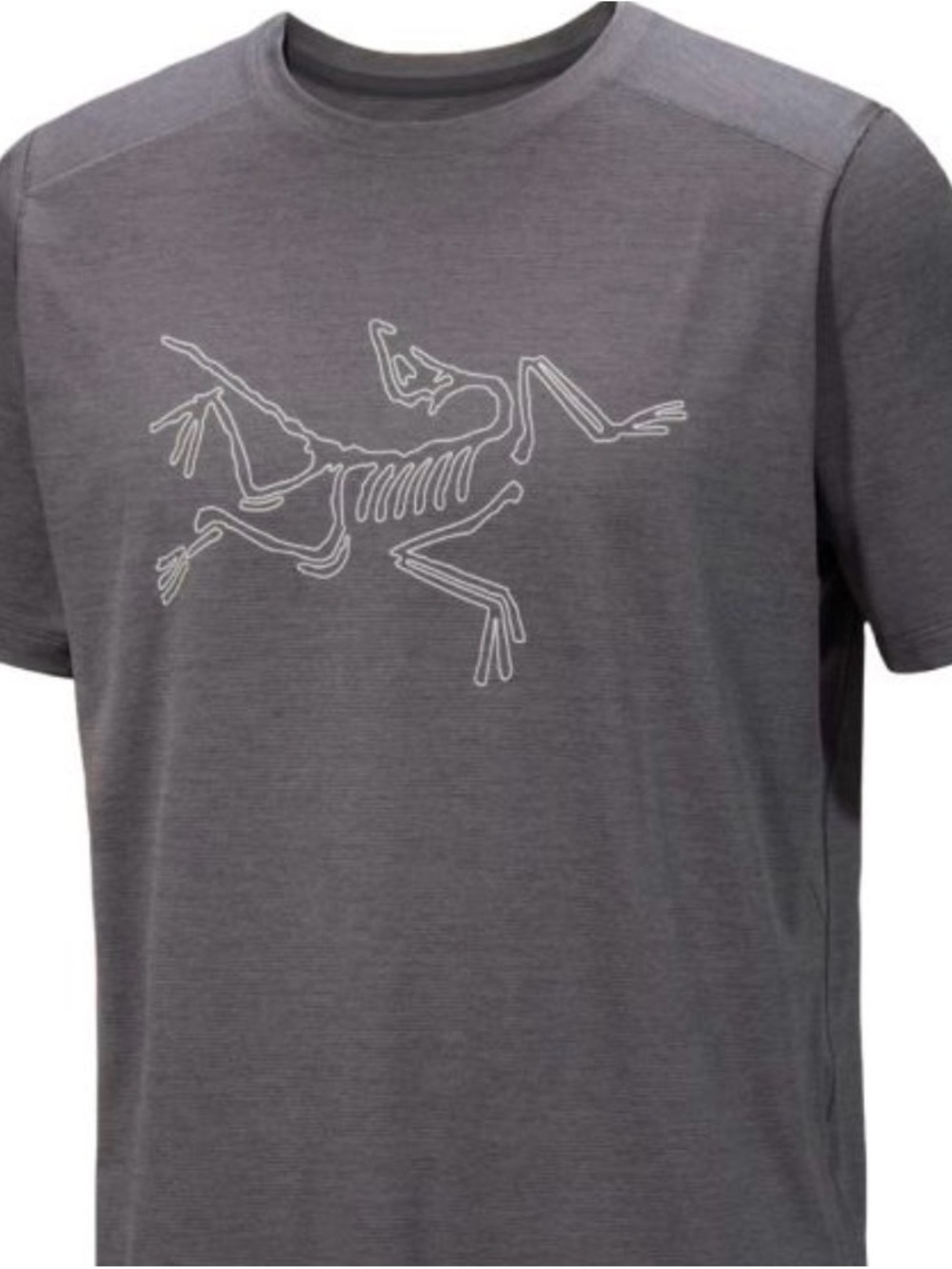 Arc'teryx Men's Cormac Gray Short-Sleeve Graphic Tee Medium